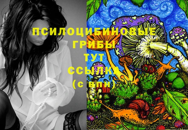 кокаин колумбия Абаза
