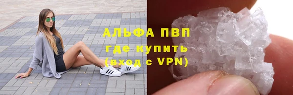 гидра Алексин