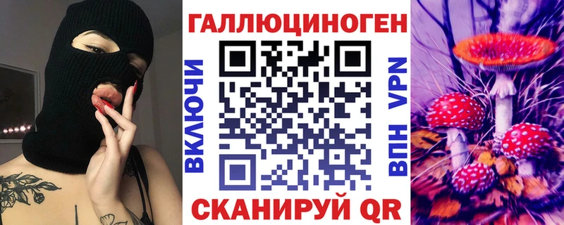 дарнет шоп  Тырныауз  Псилоцибиновые грибы Psilocybine cubensis 
